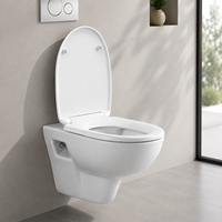 WC mural moderne, design flottant avec réservoir encastré, WC sans bride, gain de place