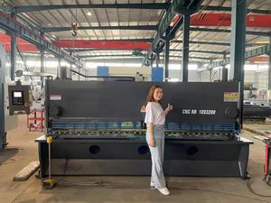 Máquina de Corte Hidráulica para Chapas de 10 mm * Guillotina CNC para Metal y Acero Inoxidable Qc11y/k-10*3200mm Corte Hidráulico - Product Image 2