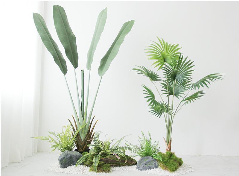 Ensemble Oiseau de Paradis + Pu Kui