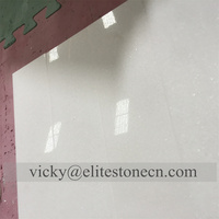 Carreaux de marbre blanc Thassos blanc pur blanc cristallin poli Vietnam blanc Villa moderne 60x60cm 2cm d'épaisseur Bonne qualité
