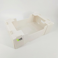 Caisse d'emballage pour l'exportation de fruits et légumes, en plastique MFPP Coroplast, robuste, écologique, recyclable, imperméable et réutilisable