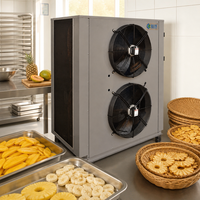 Durian Droogmachine Warmtepomp Fruitdroger voor Gedroogde Durian Chips
