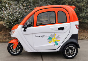 Véhicule électrique à trois roues entièrement fermé pour adultes, multifonctionnel, de petite taille, fabriqué en Chine, 60V 1200W - Product Image 3