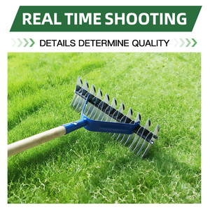 Râteau de nivellement professionnel pour pelouse, outils agricoles, râteaux de nivellement en métal pour jardin, terrain de golf, avec manche en bois - Product Image 6