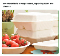 Contenedores de comida de pulpa de bagazo biodegradable, fiambrera desechable, caja de comida, embalaje para llevar, contenedores de comida, caja de hamburguesas