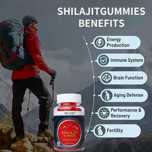 Gommes de Shilajit personnalisées OEM en fibre pure de l'Himalaya Gommes de Shilajit bio Supplément Bonbons - Product Image 3