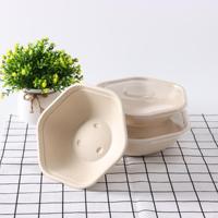 Bol hexagonal jetable en bagasse de canne à sucre avec couvercle, 1000 ml, compostable, biodégradable, en pulpe de papier, pour plats à emporter