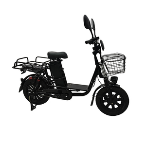 Xe Đạp Điện Cho Người Lớn 48V 20Ah 16Inch E Xe Đạp 500W Điện Thành Phố Xe Đạp Electr Xe Đạp Nhà Máy Giá - Product Image 1