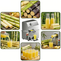 Extractor de Jugo de Caña de Azúcar Básico YYHB para Pequeñas Empresas Africanas - Alta Productividad 1100W 220V Sin Sopletes, Gran Valor