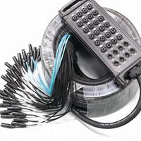 Câble multipaire XLR professionnel pour enceintes audio, boîtier de câblage 12 canaux XLR mâle vers femelle, câble répartiteur de 7,6 m avec gaine en PVC pour amplificateur de guitare