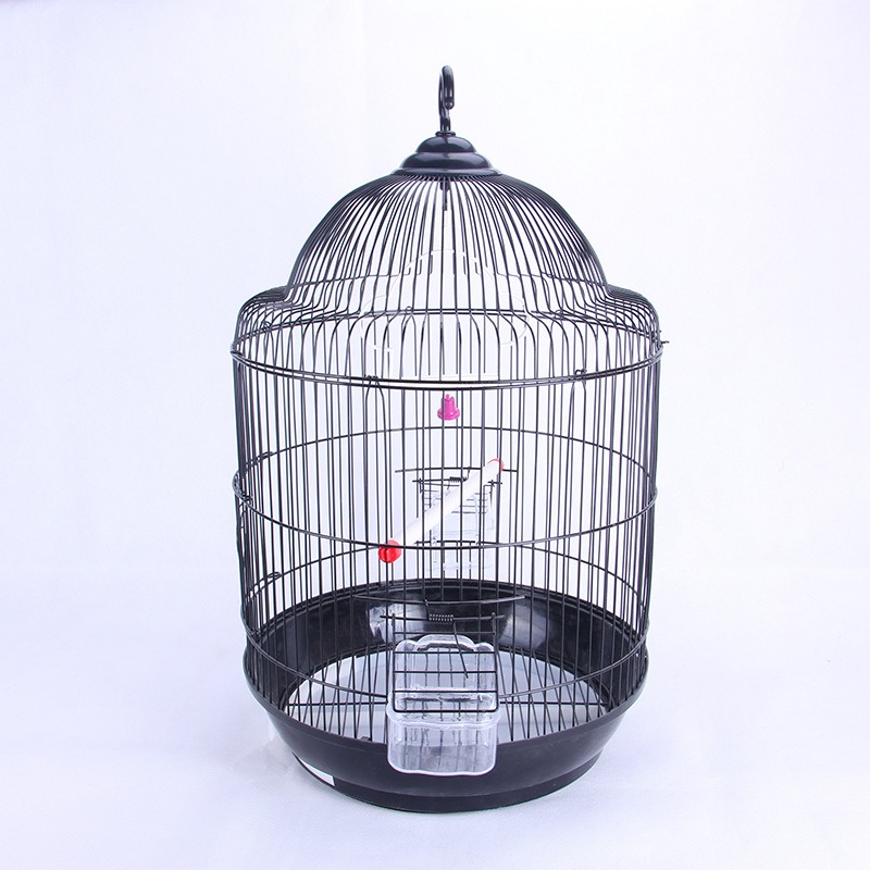 classic bird cage