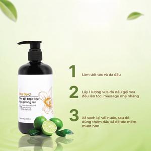 Shampooing Antichute au Gingembre et Anti-Pelliculaire pour la Croissance des Cheveux, Kit de Soins Capillaires avec Shampooing et Après-Shampooing, Soulagement de la Perte de Cheveux - Product Image 2
