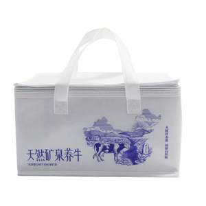 Custom Logo Promotional Reusable Thermal Insulation Bag Wholesale <b>Small</b> 6 Can Non Woven Insulated <b>Lunch</b> Cooler Bag for Food - Product Image 1