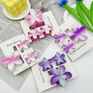 Qianjin toptan renkli plastik çiçek saç pençe klip seti kızlar kadınlar için degrade tasarım saç aksesuarları toplu kaynağı - Product Image 5