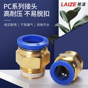 Leizer <b>Quick</b> Coupler Brass Plastic 12-04 Pneumatic <b>Connector</b> Straight Through Air Hose Fitting - Product Image 2