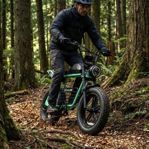 <span class=keywords><strong>Vélo</strong></span> <span class=keywords><strong>électrique</strong></span> tout-terrain 7 vitesses couleur personnalisée avec pneus larges <span class=keywords><strong>de</strong></span> 4 pouces, VTT <span class=keywords><strong>électrique</strong></span> pour l'exploration des sentiers forestiers - Product Image 6