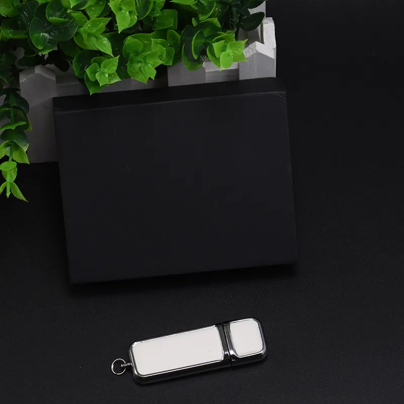 Campione gratuito Usb 3.0 FlashDisk in pelle Thumb Drive 16gb 32gb 8gb 64gb Memory Stick con portachiavi usb flash drive