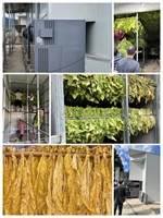 Machine de séchage de feuilles de tabac professionnelle à pompe à chaleur électrique Hello River avec pinces de fixation certifiées CE