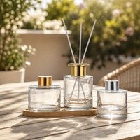 Bouteilles diffuseurs en verre avec plateau en bois, flacons vides pour huiles d'aromathérapie avec bouchons dorés et chromés pour cadeaux de parfum d'ambiance