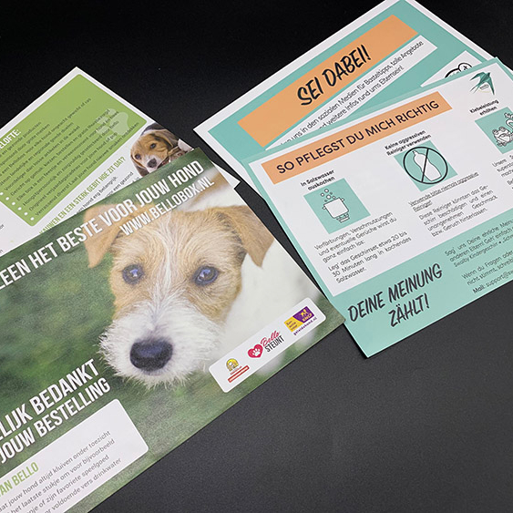 High Quality Printing Manufacturing Service Custom Design Full Color Folded Flyer Leaflet