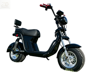 Moto à grande vitesse avec batterie au plomb 110V, vélo électrique de course pour adultes avec certification CEE 1. Matériaux de qualité supérieure |   Robuste et résistant - Product Image 1