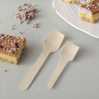 Cuillère carrée en bois de bouleau de 70 mm et 95 mm, jetable, de haute qualité, pour la crème glacée et les gâteaux, pour la maison, l'hôtel, le restaurant