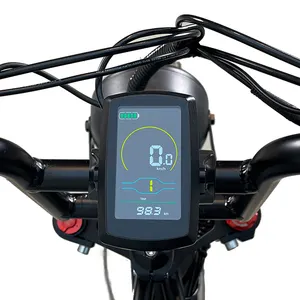 服务质量保证电动自行车彩色LED显示屏和电动自行车电机