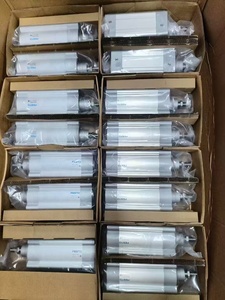 Brand New Original Dsnu-25-250-p-a Round Cylinder 193991 <b>Double</b> Acting, 25mm Bore 250mm Stroke With Magnet - Product Image 6