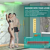 Ensemble de robinetterie de douche HOMEDEC pour salle de bain, avec 2 poignées, 2 douches carrées LED de 6 pouces (14x20 pouces) et kit de vanne thermostatique à 5 voies