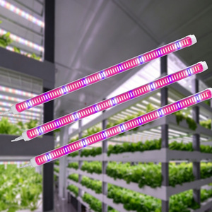 Tube LED de culture <span class=keywords><strong>pour</strong></span> plantes verticales d'intérieur, spectre complet 10w 20w 50w, T8 <span class=keywords><strong>T5</strong></span> 4ft, <span class=keywords><strong>fluorescent</strong></span>, avec IP65 LM281B - Product Image 1