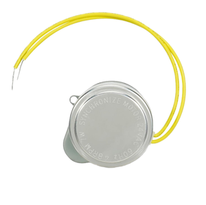 38600L Synchron ersatz 24 Volt 60Hz 4,8 U/min 7W einphasiger <span class=keywords><strong>2</strong></span>-Draht-Federrücklaufdämpfer motor - Product Image 1