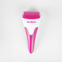 Logo personnalisé outils de soins de la peau pour le visage rouleau de glace portable avec masseur de tête en plastique