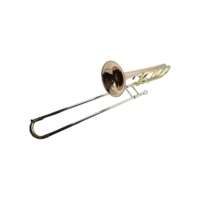SEASOUND OEM Gold Lacquer Bb/F Key Brass Tenor Trombone with Thayer Valve Included Accessories JYTB508PC Phosphorus