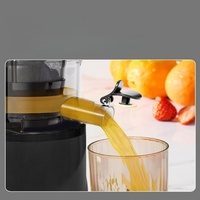 Commerciële Elektrische Koude Slow Verse Smoothie Fruit Citrus Sinaasappel Afzuigmachine Blender Slow Juicer