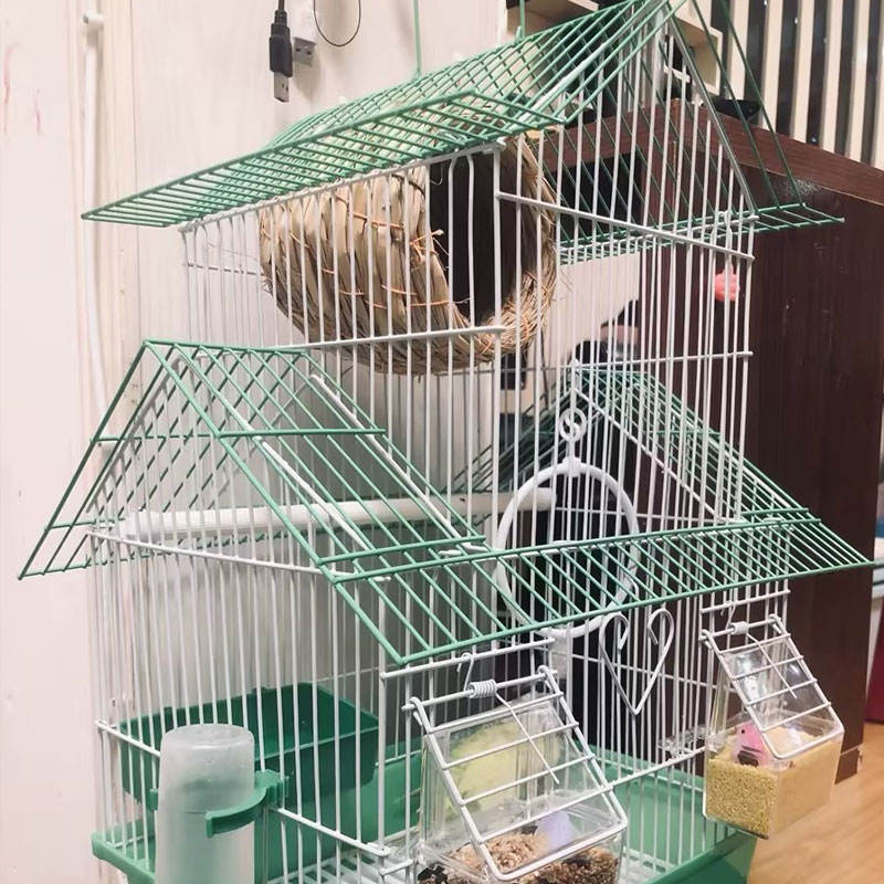 Wholesale Parrot Bird Cages Metal Large Bird Breeding Pet Cage