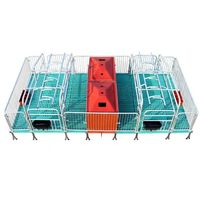 Lit de mise bas double pour truies, nouvelle cage de mise bas galvanisée pour porcs, pour fermes porcines, cages pour animaux