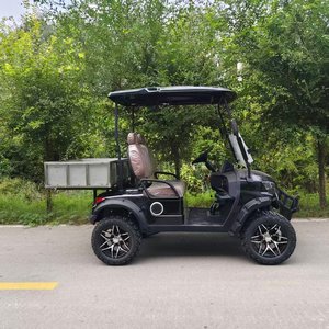 Nouvelle voiturette de <span class=keywords><strong>golf</strong></span> électrique tout-terrain à deux places avec moteur 48V 5KW, suspension surélevée, construction en acier pour le <span class=keywords><strong>golf</strong></span> - Product Image 5