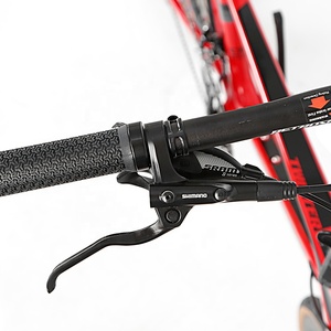 Nouveau <span class=keywords><strong>Vélo</strong></span> Pliant 22 Pouces en Fibre de Carbone de Haute Qualité à 22 Vitesses, Fournisseur Chinois 2026 - Product Image 3