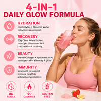 Poudre de boisson protéinée Clear Whey de 20g, collagène, électrolytes, supplément d'hydratation, saveur fraise-limonade, boisson riche en protéines