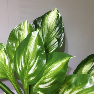 Mur végétal artificiel vertical, simulation de feuilles de <span class=keywords><strong>Hosta</strong></span>, décoration florale pour balcon intérieur, fond de porte - Product Image 6