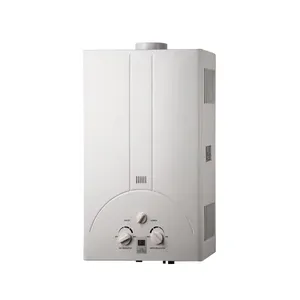 High quality low price 8L13L18L24L LPG indoor cheap price home Instant heating natural gas hot water heater boiler wall mounted