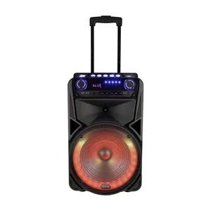 Professional 12 inch Portable Bluetooth Speaker System With FM Radio, USB and party light for home gathering