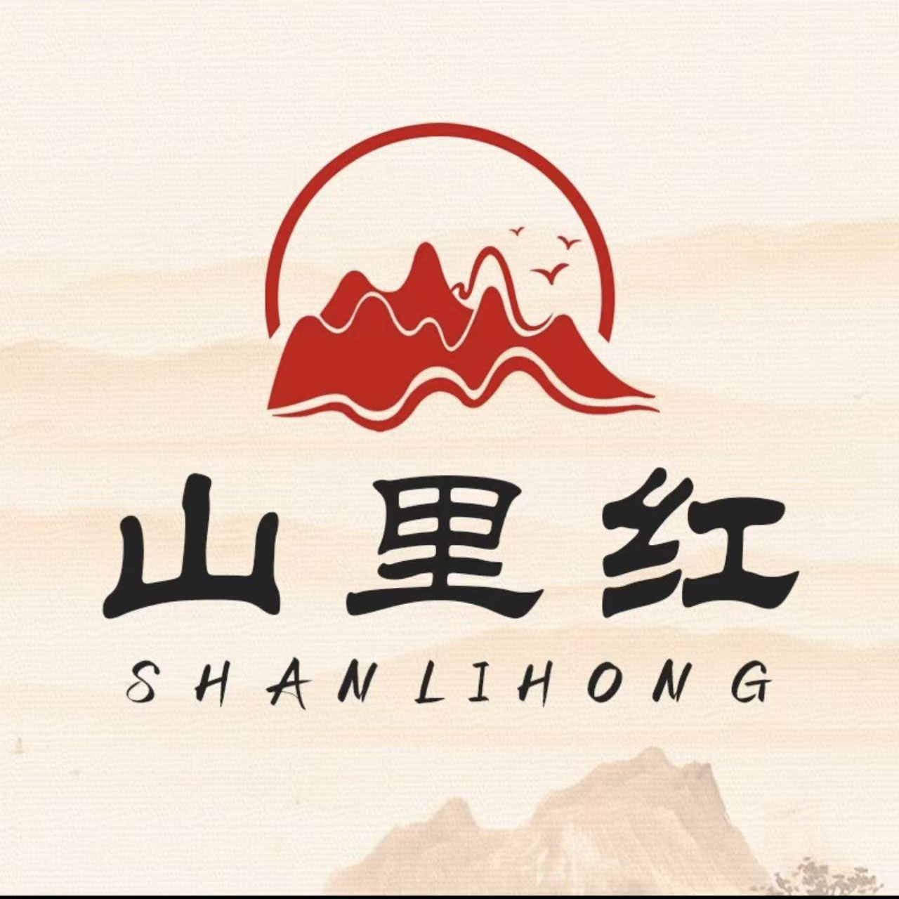 Shanlihong (Handan) Network Technology Co., Ltd. logo