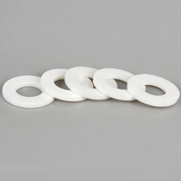 PP Polypropylene Flat Washer Plastic Spacer Washer