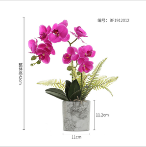 <span class=keywords><strong>Orchidée</strong></span> artificielle bonsaï, 1 pièce, tactile, avec pot, fleurs pour la décoration - Product Image 5