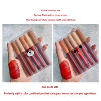 Ensemble de gloss à lèvres mats 5 couleurs, rouge à lèvres liquide velours longue tenue, anti-transfert, waterproof, kit de maquillage pour les lèvres
