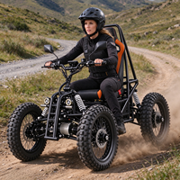 Dune buggy électrique pour adultes 5000W tout-terrain hors route 4 roues à suspension intégrale