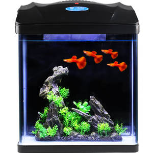 Nieuwe Led Bureau Tafel Aquarium Kleine Glazen Aquarium Aquarium Met Filter - Product Image 6
