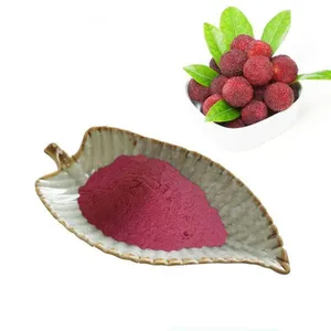 Approvisionnement d'usine de haute qualité 100% Myrica Rubra/Waxberry / Red Bayberry Powder