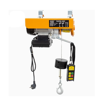 Chine vente en gros 220V monophasé PA Type Mini petit palan électrique à corde